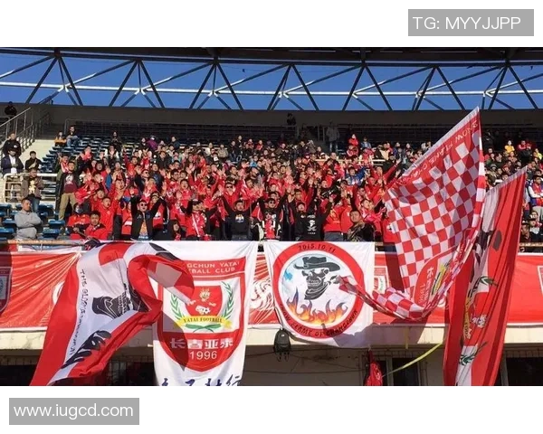 力帆与长春亚泰精彩对决直播全程回顾与赛后分析